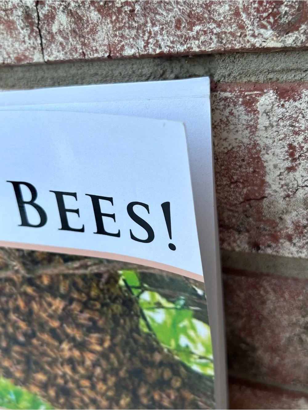 N/A free bees